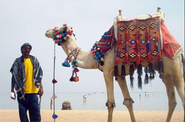 The man travelling with the camel